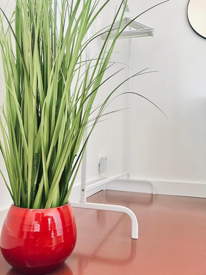 Lanton Plage - Appartement 6 Pers. Terrasse מראה חיצוני תמונה